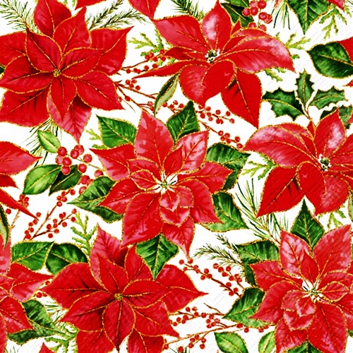 Christmas Poinsettia