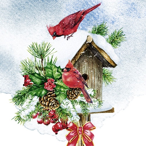 Bird House with Red Cardinals