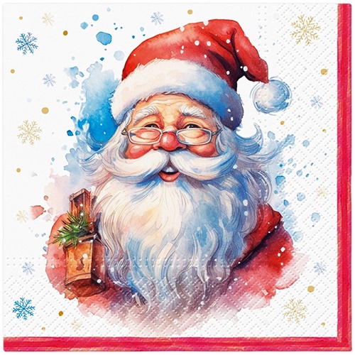 Portrait of Santa Claus