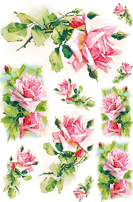 Vintage Roses A3