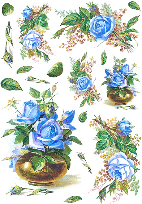 Blue Vintage Roses A3