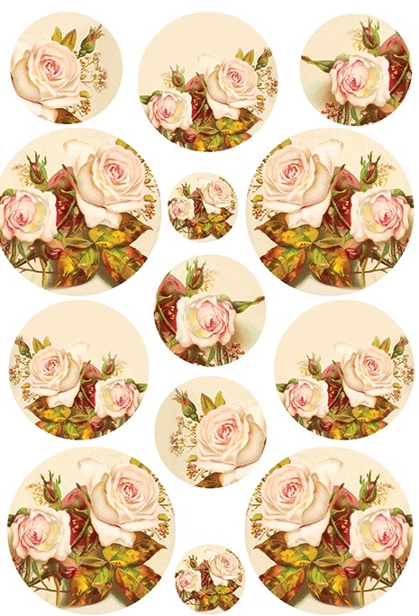 Cream Vintage Roses A3