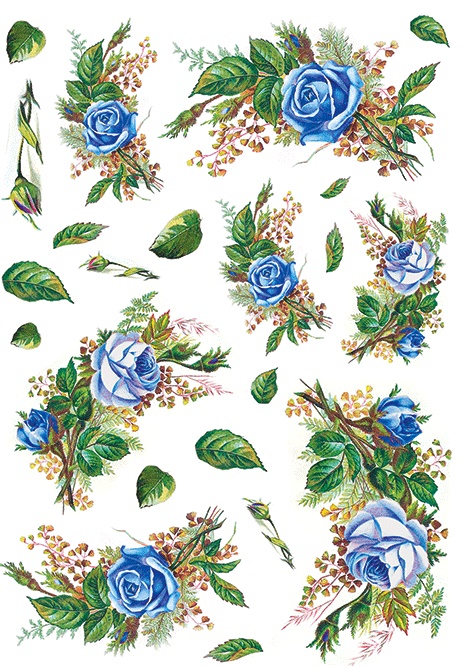 Blue Roses A3